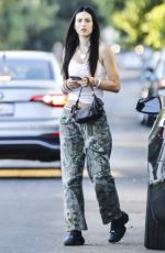 AMELIA HAMLIN Out in Los Angeles 08/29/2023