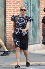 CHLOE SEVIGNY Out in Manhattan