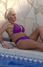 DANNIELLA WESTBROOK in Bikini at a Pool in Spain 08/18/2023