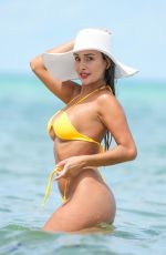 DORINA GUILLEN in a Yellow Bikini at a Beach in Miami 08/03/2023