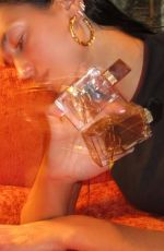 DUA LIPA for YSL Libre Perfume, 2023