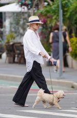 ELLEN BARKIN Out with Her Dog in New York 08/15/2023