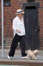 ELLEN BARKIN Out with Her Dog in New York 08/15/2023