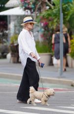 ELLEN BARKIN Out with Her Dog in New York 08/15/2023