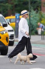 ELLEN BARKIN Out with Her Dog in New York 08/15/2023