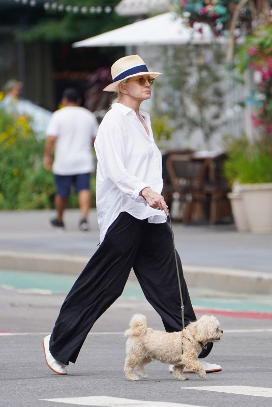 ELLEN BARKIN Out with Her Dog in New York 08/15/2023