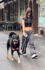 EMILY RATAJKOWSKI Out with Her Dog Colombo in New York 08/30/2023