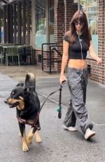 EMILY RATAJKOWSKI Out with Her Dog Colombo in New York 08/30/2023