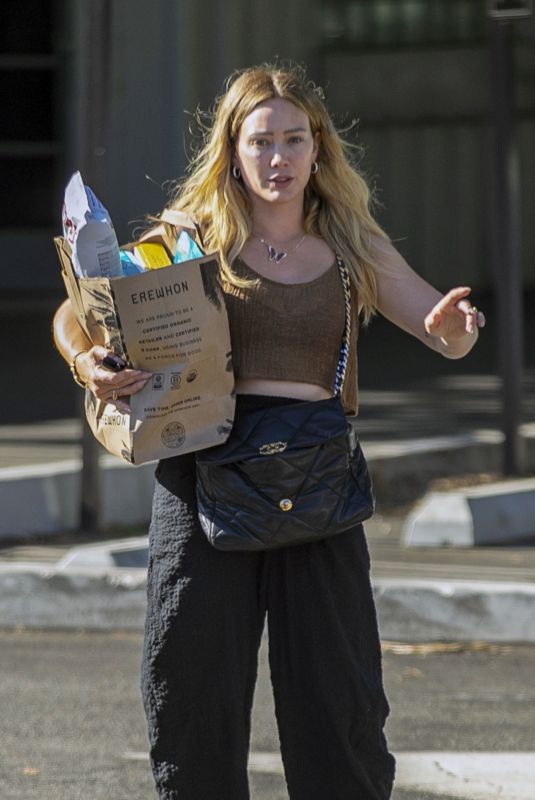 HILARY DUFF Shopping at Fred Segal in Studio City 08/14/2023
