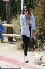 KAIA GERBER Out with Her Dog in Los Angeles 08/16/2023