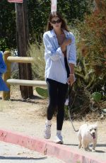 KAIA GERBER Out with Her Dog in Los Angeles 08/16/2023