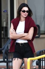 KENDALL JENNER, LAUREN PEREZ, JESSE JO STARK and Fai Khadra Out Shopping at Malibu Country Mart 08/12/2023