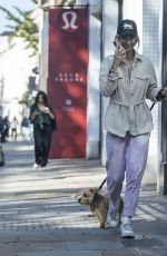 LADY VICTORIA HERVEY Out with Her Dog in Chelsea 08/07/2023