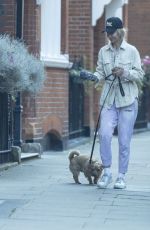 LADY VICTORIA HERVEY Out with Her Dog in Chelsea 08/07/2023