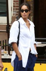 LAURA HARRIER Leaves Lunch in New York 08/15/2023