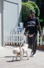 VIOLA DAVIS Out with Her Dog in Los Angeles 08/23/2023