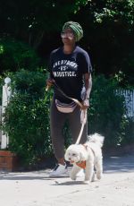 VIOLA DAVIS Out with Her Dog in Los Angeles 08/23/2023