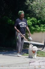 VIOLA DAVIS Out with Her Dog in Los Angeles 08/23/2023