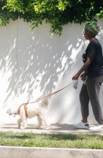 VIOLA DAVIS Out with Her Dog in Los Angeles 08/23/2023