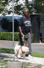 VIOLA DAVIS Out with Her Dog in Los Angeles 08/23/2023