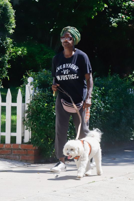VIOLA DAVIS Out with Her Dog in Los Angeles 08/23/2023