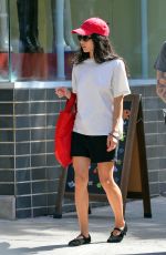 ZOE KRAVITZ Out for Dinner with a Friend in New York 08/23/2023