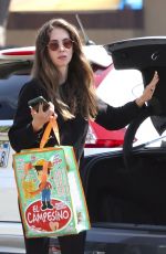 ALISON BRIE Out Grocery Shopping in Los Feliz 09/26/2023