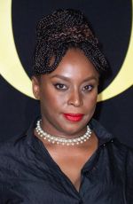CHIMAMANDA NGOZI ADICHIE at Dior Womenswear Spring/Summer 2024 Show at Paris Fashion Week 09/26/2023