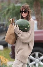 DAKOTA JOHNSON Leaves a Market in Malibu 09/17/2023