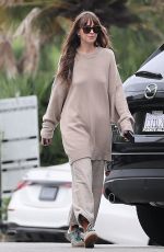 DAKOTA JOHNSON Leaves a Market in Malibu 09/17/2023