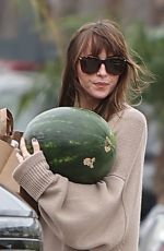 DAKOTA JOHNSON Leaves a Market in Malibu 09/17/2023
