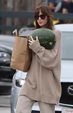DAKOTA JOHNSON Leaves a Market in Malibu 09/17/2023