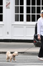 ELLEN BARKIN on a Dog Walk in New York 09/04/2023