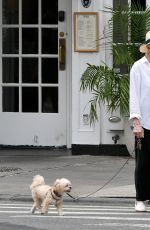 ELLEN BARKIN on a Dog Walk in New York 09/04/2023