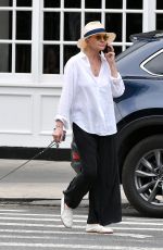 ELLEN BARKIN on a Dog Walk in New York 09/04/2023