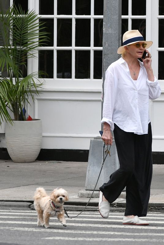 ELLEN BARKIN on a Dog Walk in New York 09/04/2023