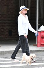 ELLEN BARKIN on a Dog Walk in New York 09/11/2023