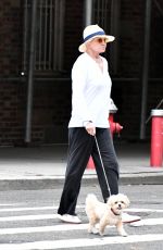 ELLEN BARKIN on a Dog Walk in New York 09/11/2023