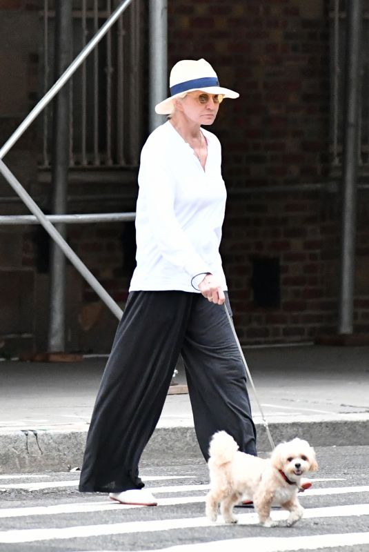 ELLEN BARKIN on a Dog Walk in New York 09/11/2023