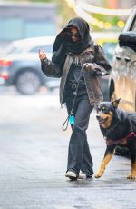 EMILY RATAJKOWSKI Out with Her Dog in New York 09/26/2023