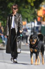 EMILY RATAJKOWSKI Out with Her Dog in New York 09/27/2023