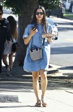 FREIDA PINTO Out for Lunch with a Friend at Little Dom