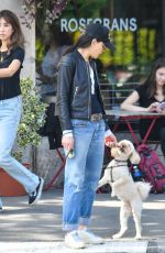 JULIANNA MARGULIES Out with Her Dog in New York 09/21/2023