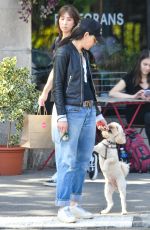 JULIANNA MARGULIES Out with Her Dog in New York 09/21/2023