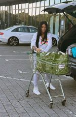 KATIE PRICE Out Shopping for Groceries in London 08/30/2023