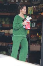 MINKA KELLY and Dan Reynolds Out Shopping at Lassens Natural Foods in Los Feliz 09/27/2023