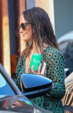 MINKA KELLY Leaves a Hair Salon in Los Angeles 09/14/2023