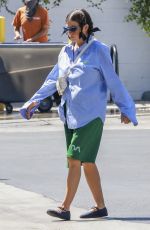 Pregnant ALIA SHAWKAT Out Shopping in Los Feliz 09/03/2023