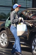 SARAH SILVERMAN Out for Grocery Shopping in Los Feliz 09/14/2023
