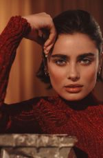 TAYLOR HILL for Harper